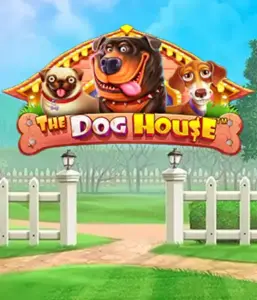 From Pragmatic Play comes The Dog House adventure, featuring a fun-filled adventure into the world of playful pups. Discover gameplay elements such as multipliers, perfect for delivering exciting wins. A must-try for pet lovers an amusing theme and the opportunity to win big.