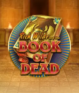 Dive into the thrilling world of Book of Dead Slot by Play'n GO, presenting vivid graphics of Rich Wilde’s adventurous journey through ancient Egyptian tombs and artifacts. Find lost riches with engaging mechanics like free spins, expanding icons, and a gamble option. Ideal for those seeking adventure with a desire for exciting finds.